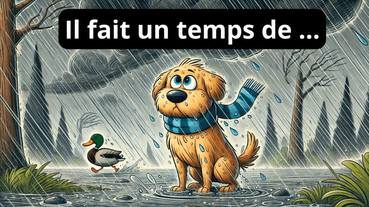 Learn Weather Vocabulary in French (A1-A2 Level)